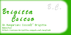 brigitta csicso business card